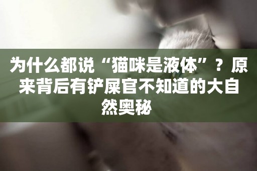 為什么都說“貓咪是液體”？原來背后有鏟屎官不知道的大自然奧秘 