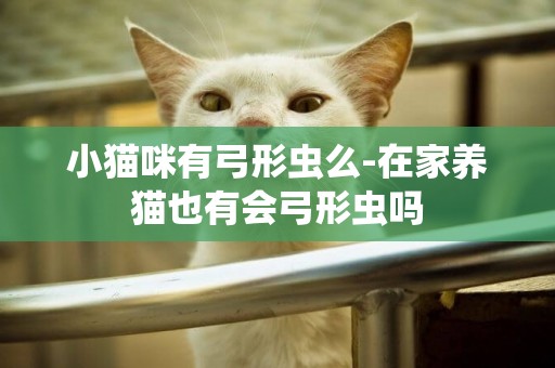 小貓咪有弓形蟲么-在家養貓也有會弓形蟲嗎