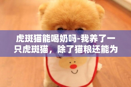 虎斑貓能喝奶嗎-我養了一只虎斑貓，除了貓糧還能為他吃什么？