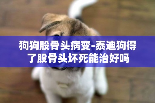 狗狗股骨頭病變-泰迪狗得了股骨頭壞死能治好嗎