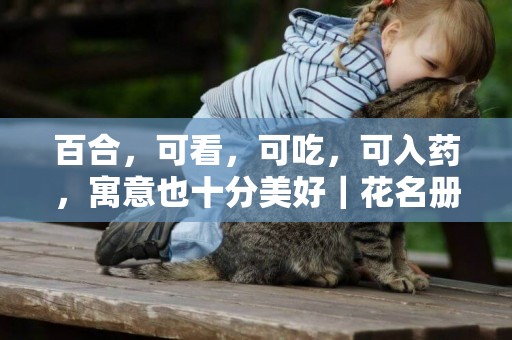 百合，可看，可吃，可入藥，寓意也十分美好｜花名冊No.00155 