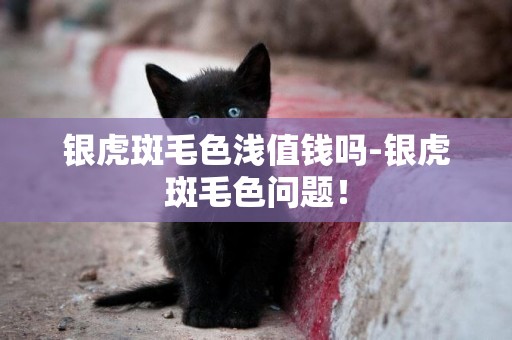 銀虎斑毛色淺值錢嗎-銀虎斑毛色問題！