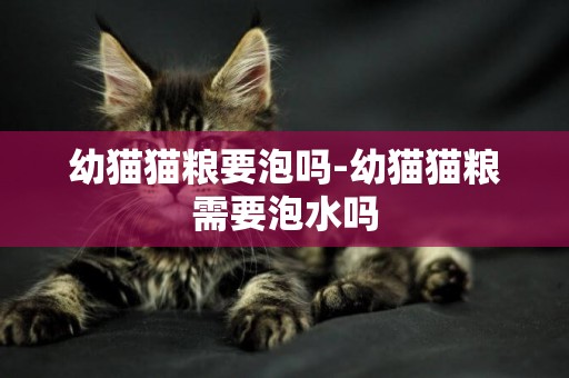 幼貓貓糧要泡嗎-幼貓貓糧需要泡水嗎