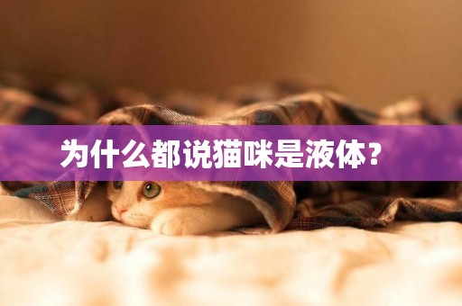 為什么都說貓咪是液體？ 