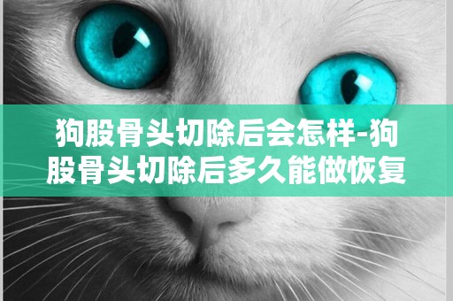 狗股骨頭切除后會怎樣-狗股骨頭切除后多久能做恢復訓練？