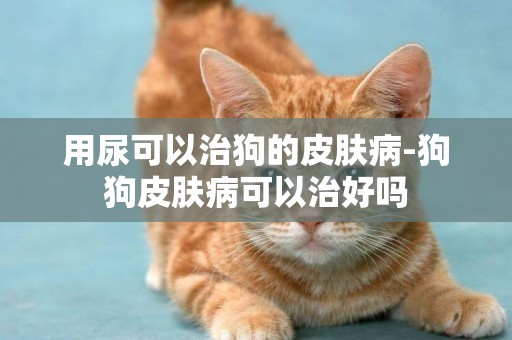 用尿可以治狗的皮膚病-狗狗皮膚病可以治好嗎