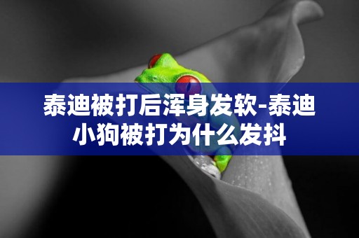 泰迪被打后渾身發軟-泰迪小狗被打為什么發抖