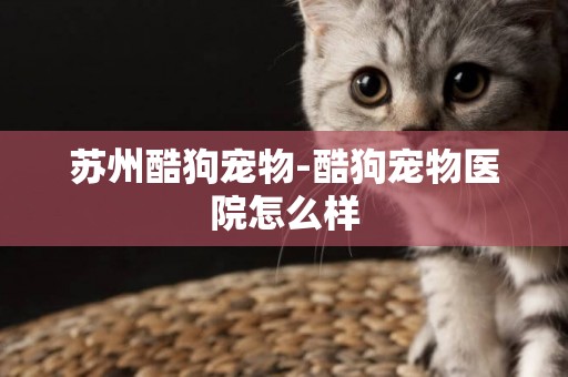 蘇州酷狗寵物-酷狗寵物醫院怎么樣
