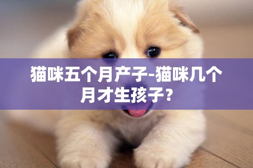 貓咪五個月產子-貓咪幾個月才生孩子？
