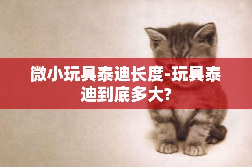 微小玩具泰迪長度-玩具泰迪到底多大?
