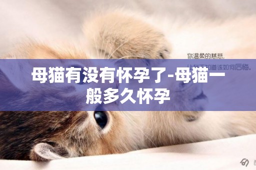 母貓有沒有懷孕了-母貓一般多久懷孕