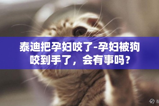 泰迪把孕婦咬了-孕婦被狗咬到手了，會有事嗎？