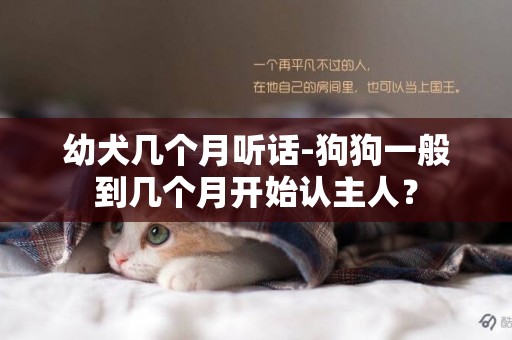 幼犬幾個月聽話-狗狗一般到幾個月開始認主人？