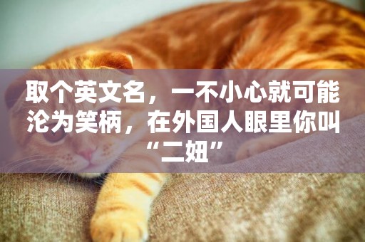 取個英文名，一不小心就可能淪為笑柄，在外國人眼里你叫“二妞” 