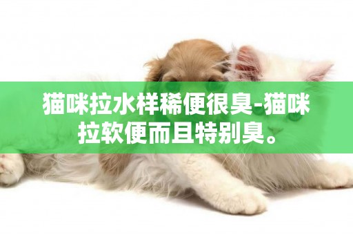 貓咪拉水樣稀便很臭-貓咪拉軟便而且特別臭。