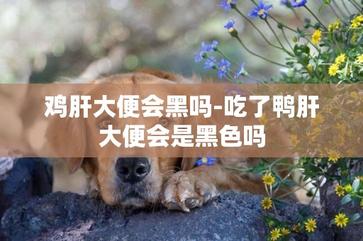 雞肝大便會黑嗎-吃了鴨肝大便會是黑色嗎