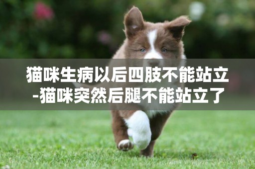 貓咪生病以后四肢不能站立-貓咪突然后腿不能站立了