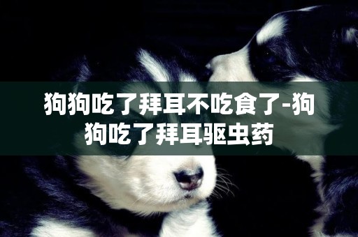 狗狗吃了拜耳不吃食了-狗狗吃了拜耳驅蟲藥