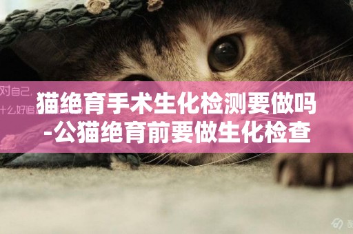 貓絕育手術生化檢測要做嗎-公貓絕育前要做生化檢查嗎？我看有的說吃喝拉撒正常就不用做，是真的嗎？這檢查