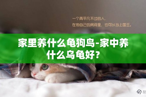 家里養什么龜狗鳥-家中養什么烏龜好？