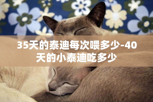 35天的泰迪每次喂多少-40天的小泰迪吃多少