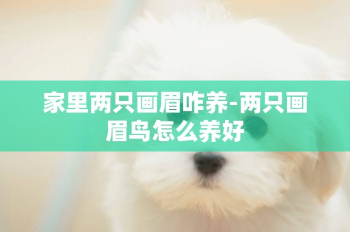 家里兩只畫眉咋養-兩只畫眉鳥怎么養好