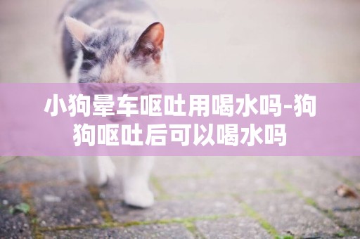 小狗暈車嘔吐用喝水嗎-狗狗嘔吐后可以喝水嗎