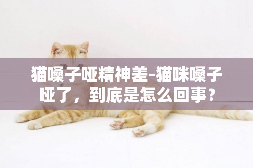 貓嗓子啞精神差-貓咪嗓子啞了，到底是怎么回事？