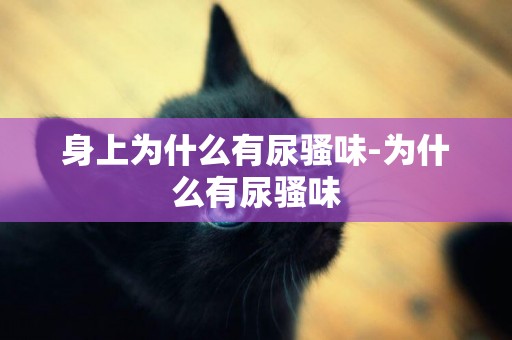 身上為什么有尿騷味-為什么有尿騷味