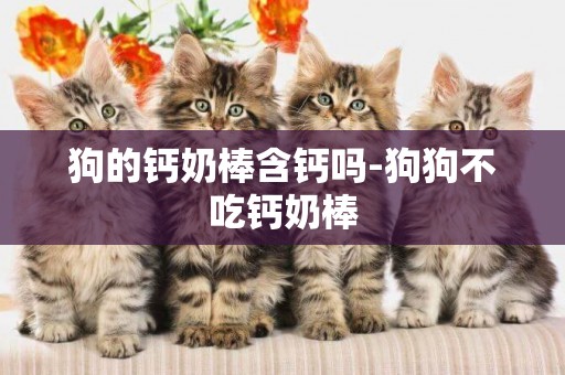 狗的鈣奶棒含鈣嗎-狗狗不吃鈣奶棒