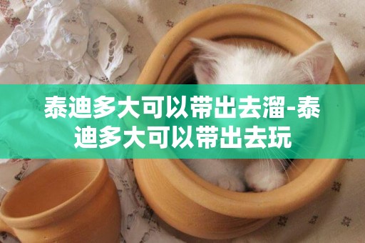 泰迪多大可以帶出去溜-泰迪多大可以帶出去玩