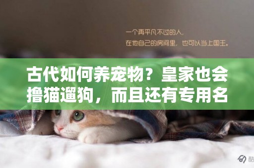古代如何養寵物？皇家也會擼貓遛狗，而且還有專用名冊 