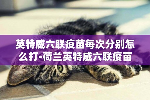 英特威六聯疫苗每次分別怎么打-荷蘭英特威六聯疫苗