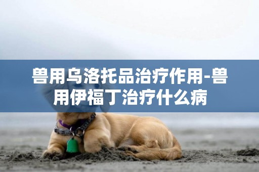 獸用烏洛托品治療作用-獸用伊福丁治療什么病