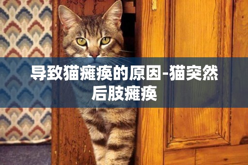 導致貓癱瘓的原因-貓突然后肢癱瘓