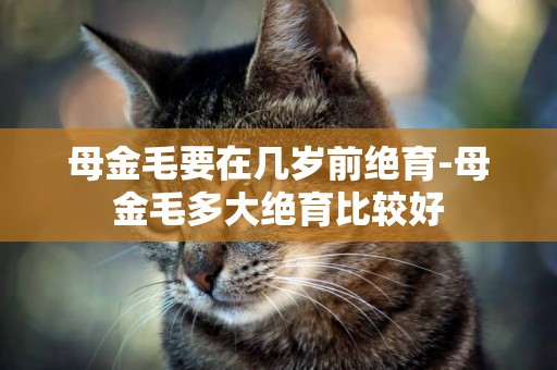 母金毛要在幾歲前絕育-母金毛多大絕育比較好