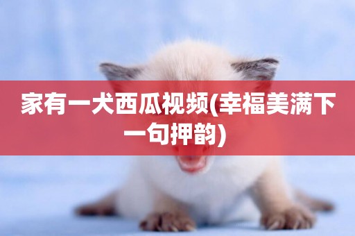 家有一犬西瓜視頻(幸福美滿下一句押韻) 