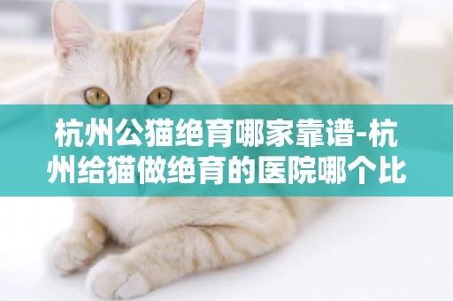 杭州公貓絕育哪家靠譜-杭州給貓做絕育的醫院哪個比較好?