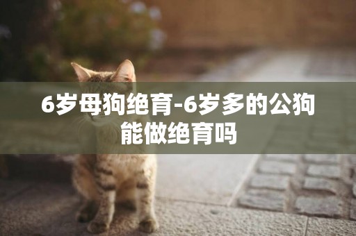 6歲母狗絕育-6歲多的公狗能做絕育嗎