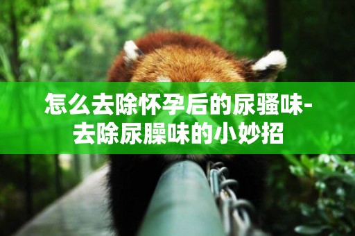 怎么去除懷孕后的尿騷味-去除尿臊味的小妙招