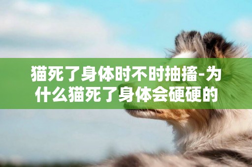 貓死了身體時不時抽搐-為什么貓死了身體會硬硬的