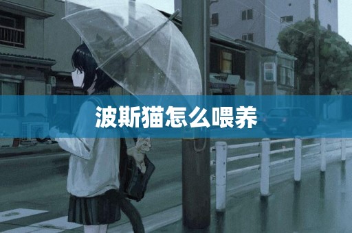 波斯貓怎么喂養