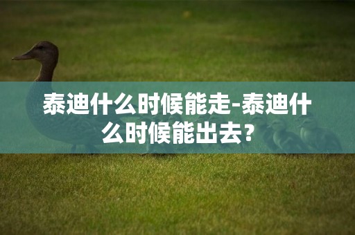 泰迪什么時候能走-泰迪什么時候能出去？