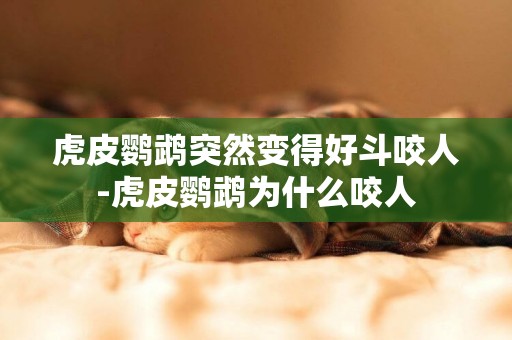 虎皮鸚鵡突然變得好斗咬人-虎皮鸚鵡為什么咬人