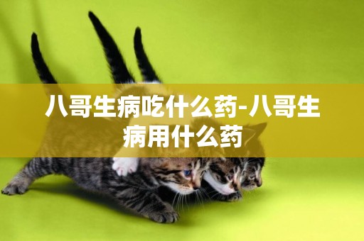 八哥生病吃什么藥-八哥生病用什么藥