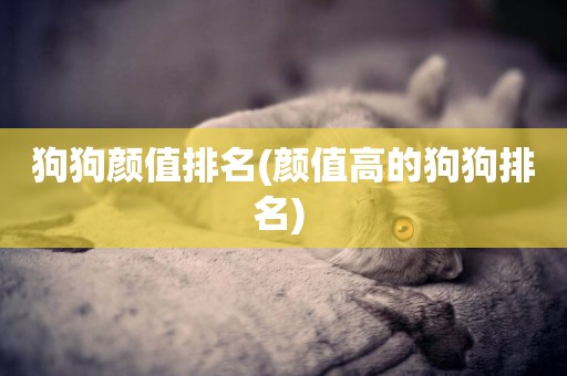 狗狗顏值排名(顏值高的狗狗排名) 