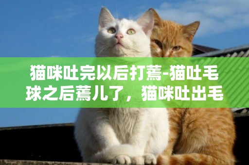 貓咪吐完以后打蔫-貓吐毛球之后蔫兒了，貓咪吐出毛球后精神不好