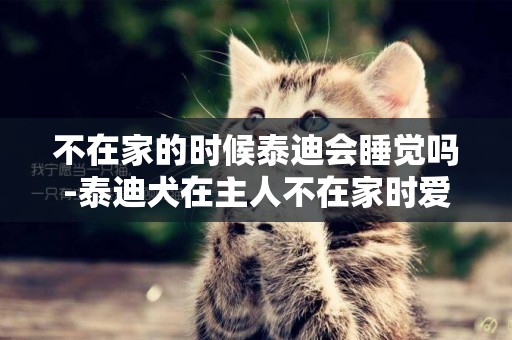 不在家的時候泰迪會睡覺嗎-泰迪犬在主人不在家時愛叫嗎