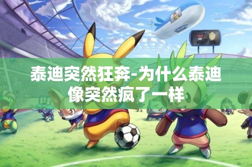 泰迪突然狂奔-為什么泰迪像突然瘋了一樣