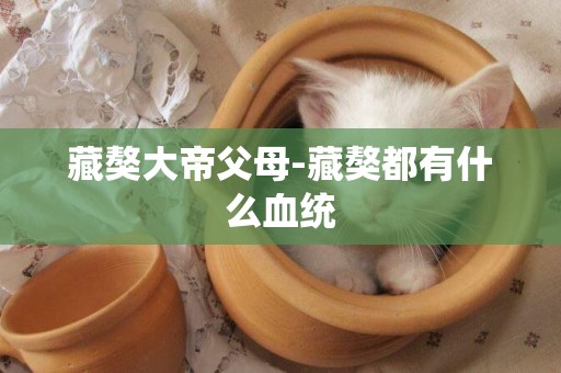 藏獒大帝父母-藏獒都有什么血統